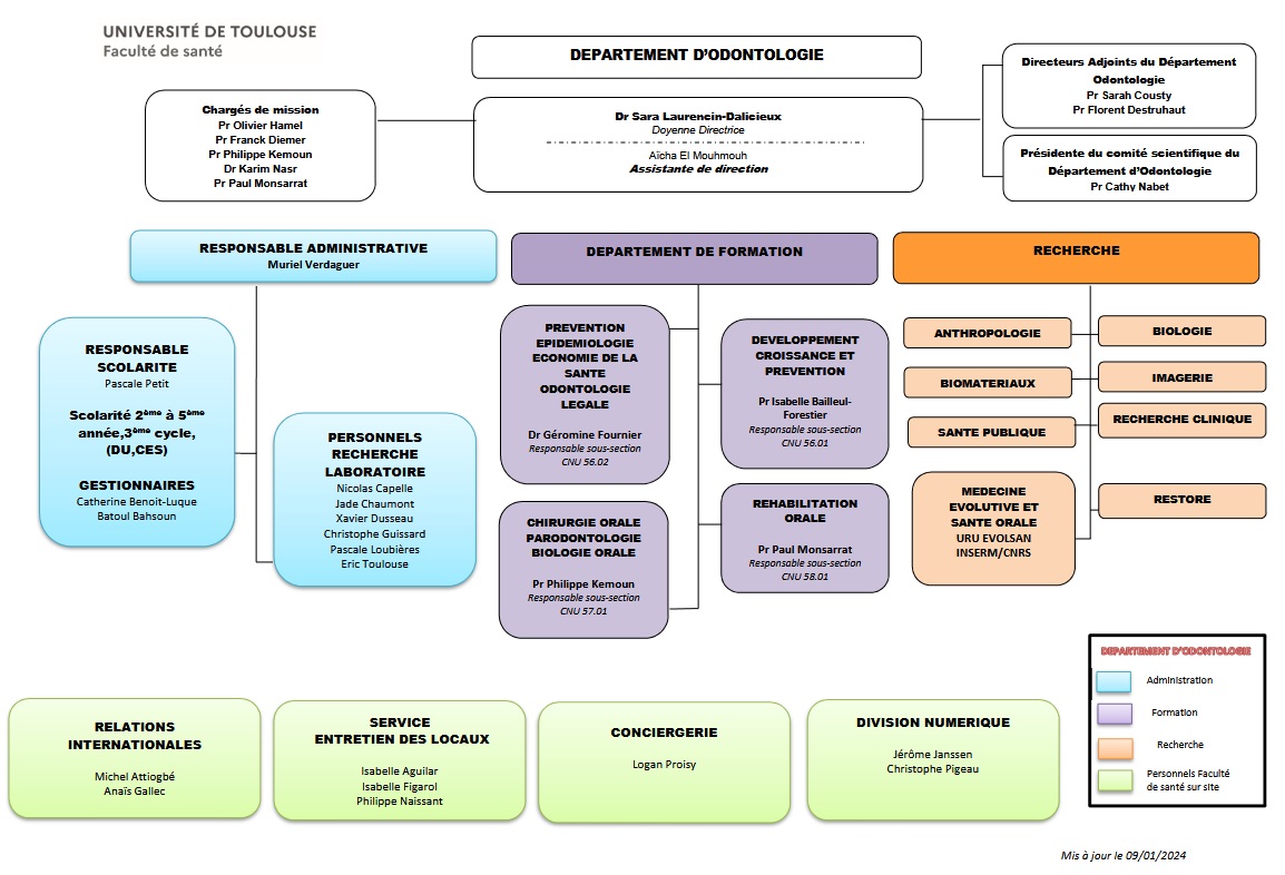 organigramme 2025