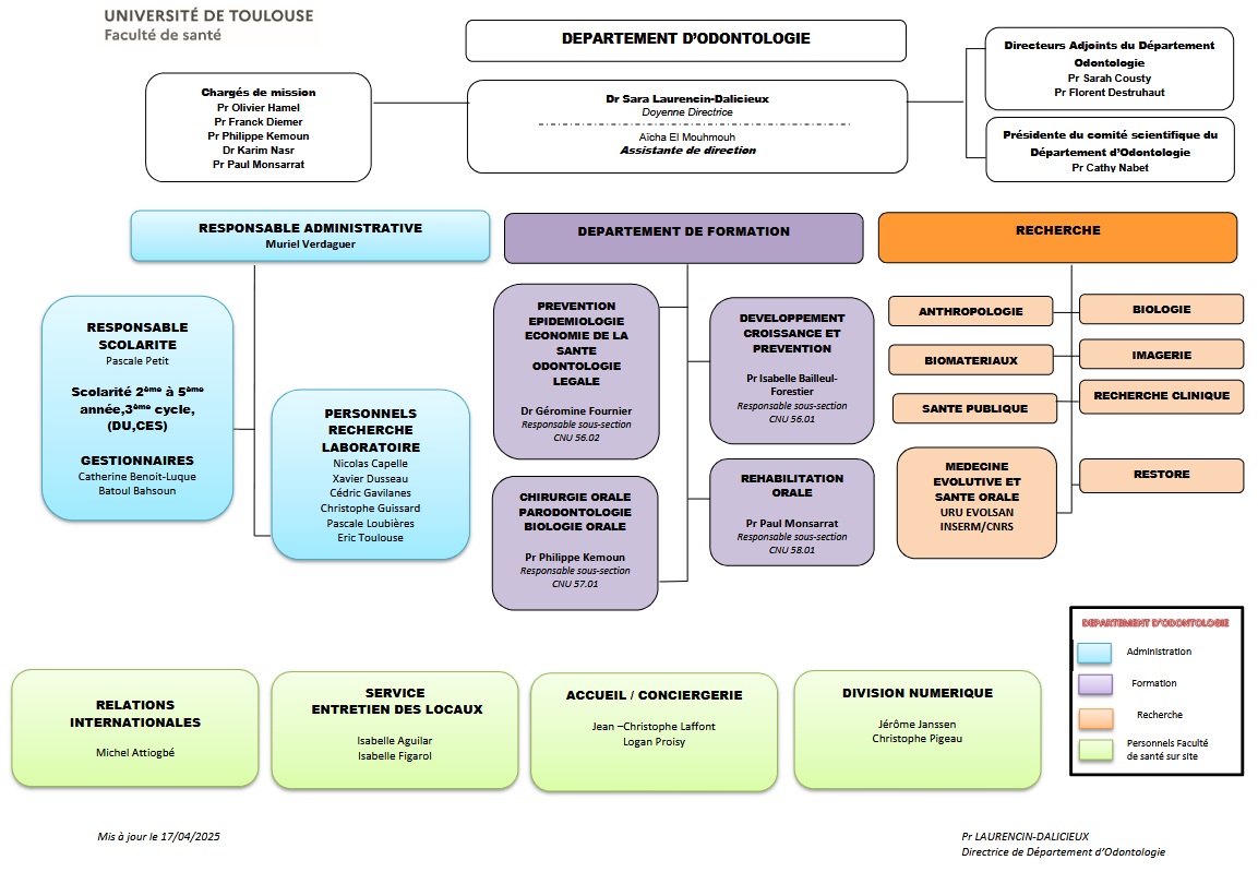 orgnigramme 2025